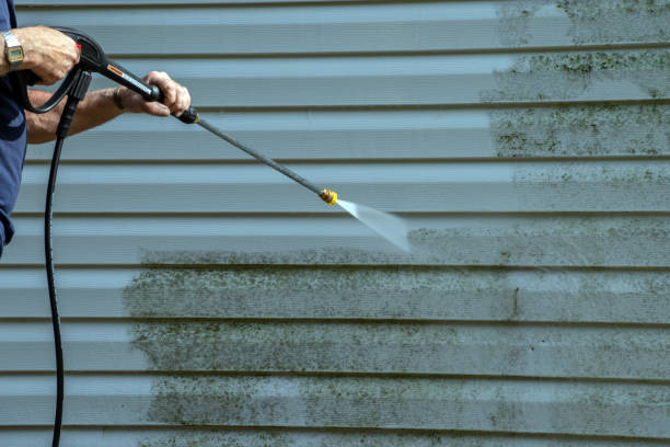 Reliable Grain Valley, MO Pressure Washing Services Solutions