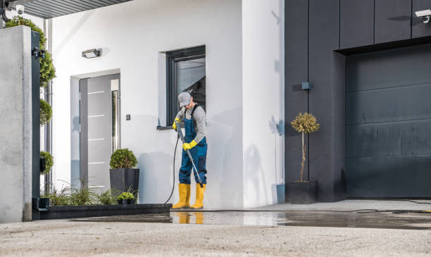Animal Enclosure Cleaning in Grain Valley, MO